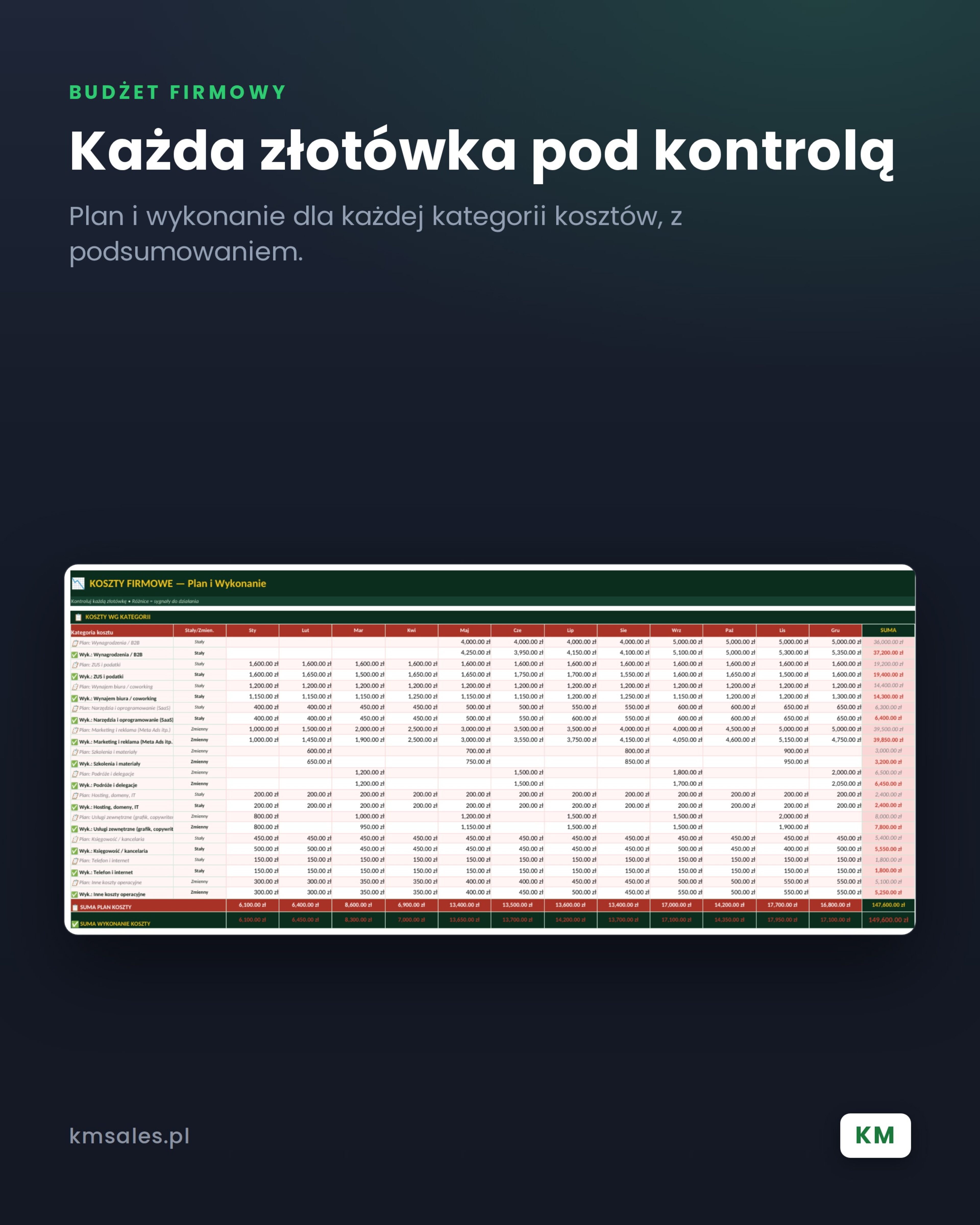 Budżet firmowy - obrazek 7